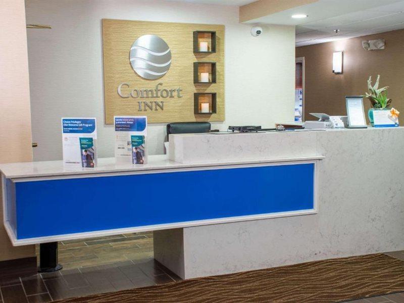 Comfort Inn Dickson Dış mekan fotoğraf